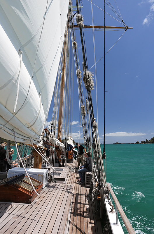 Sail on the R Tucker Thompson, Bay of Islands, NZ